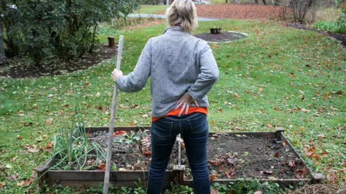 Gardening Back Pain