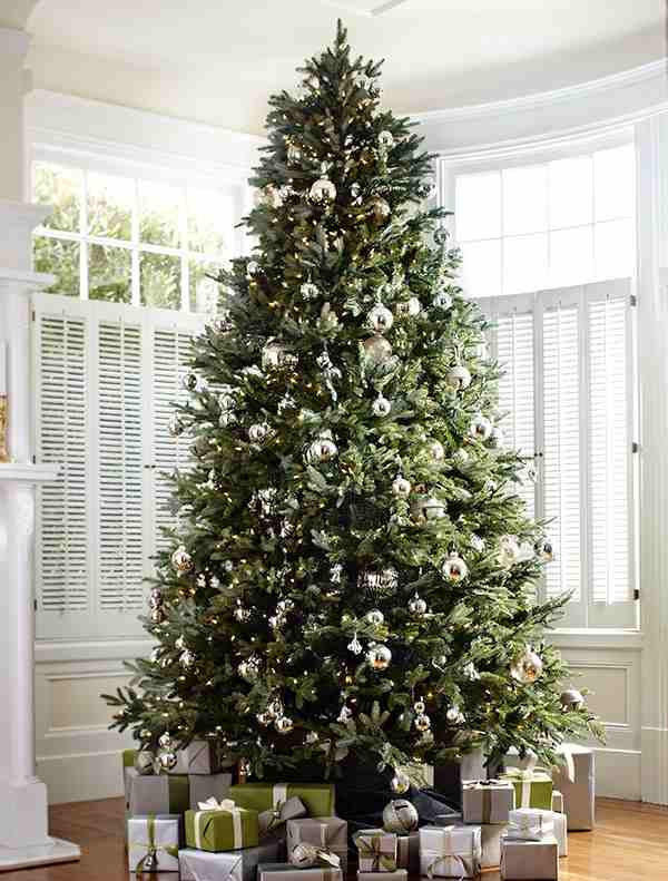Christmas Tree Purchase & Care Guide How Does Your Garden Mow
