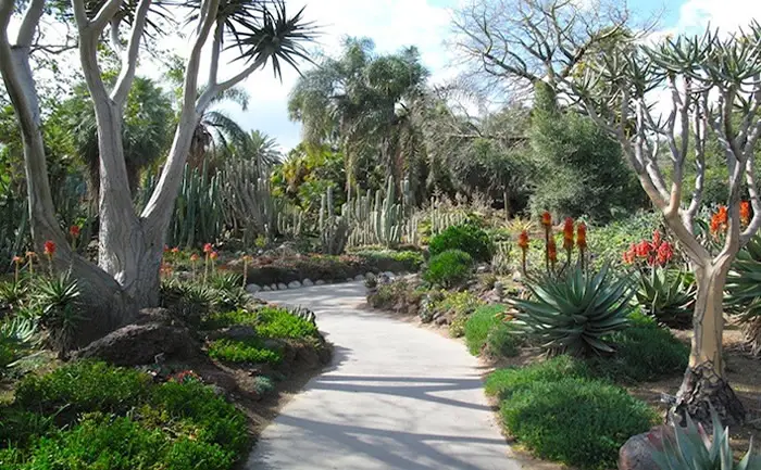 20 Tips For Creating An Awesome Dry Climate Garden How Does Your 