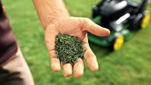 using grass clippings for mulching