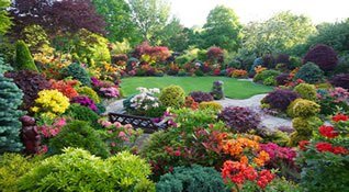 Beautiful Garden