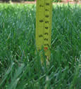 Grass cutting height