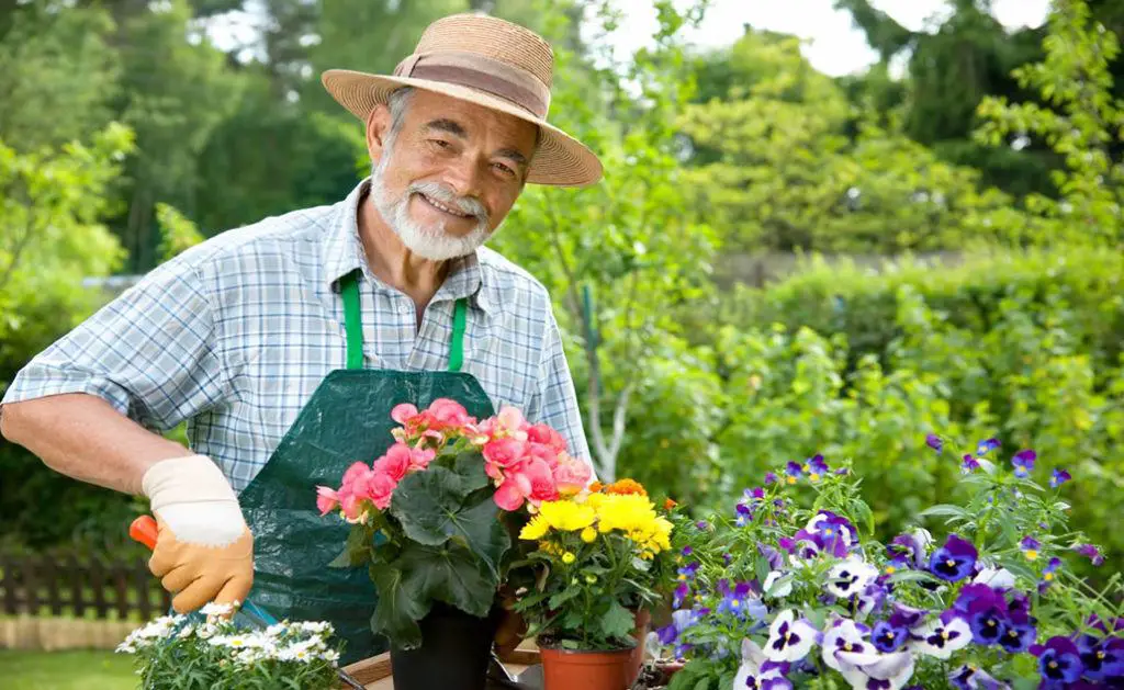 9 Tips To Gardening Safely When You’re A Senior How Does Your Garden Mow