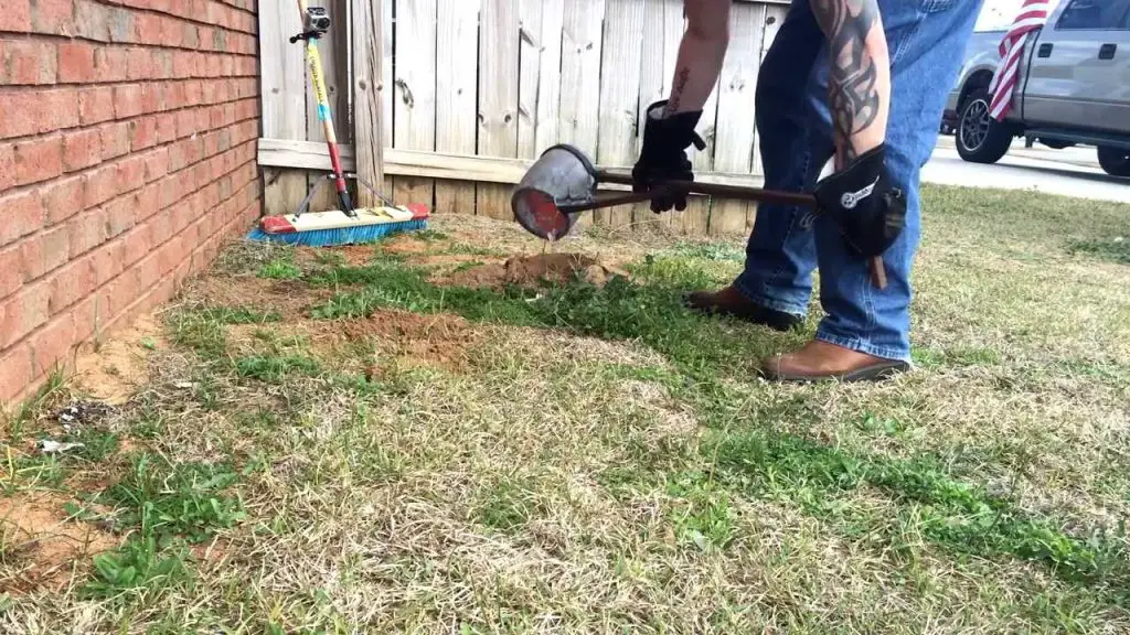 How To Get Rid Of Ant Hills Without Killing Grass & Plants – How Does