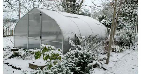 how to use a greenhouse in the winter