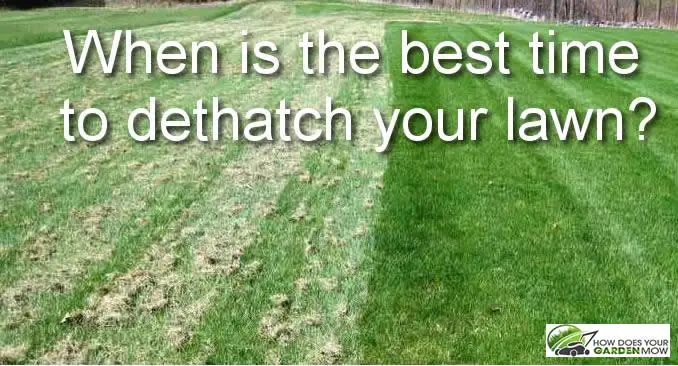 when is the best time to dethatch your lawn