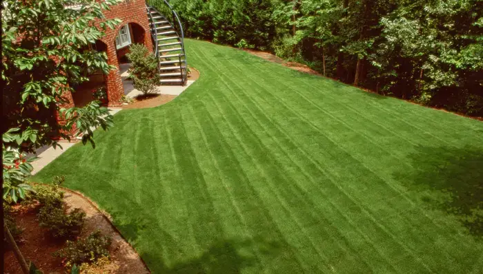 How To Plant Grass Seed On Existing Lawn Video