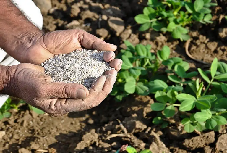 Why Your Yard Needs Sulfur. The Benefits of Garden Sulfur How Does