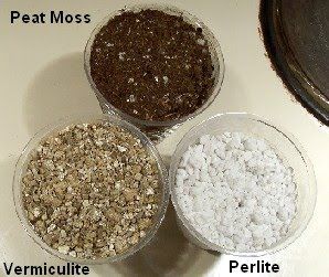Perfect mix for african violet soil